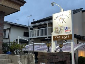 ねこもふ様の看板制作【猫カフェ】